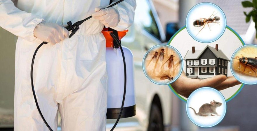 Beyşehir Böcek İlaçlama