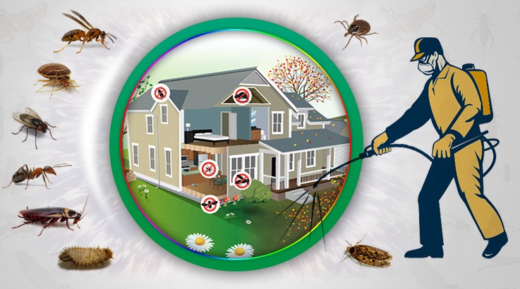 Beyşehir Böcek İlaçlama