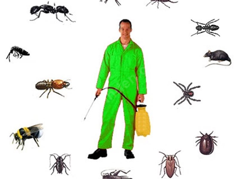 Beyşehir Böcek İlaçlama